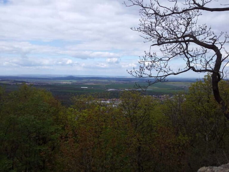 Harz Mountains Day Trip - Walkenried Monastery Ruins: A UNESCO World Heritage Site