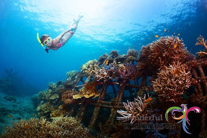 Have fun 1 day in Nusa Penida: snorkeling, kelingking & broken beach incl lunch - Key Points