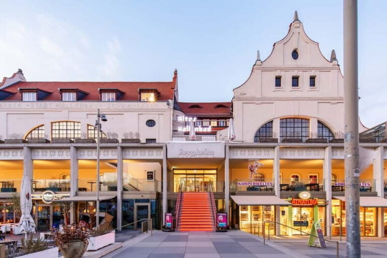 Heidelberg: BODY WORLDS Museum Entry Ticket - What to Expect at Heidelberg’s BODY WORLDS Museum