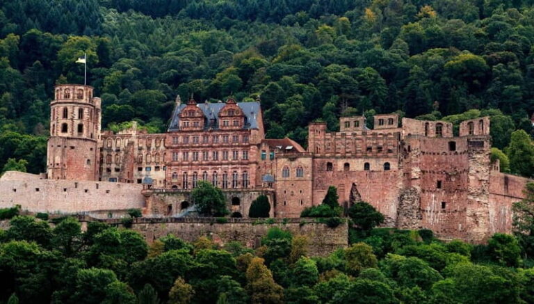 Heidelberg castle and old town private guided tour - What’s Included and What’s Not