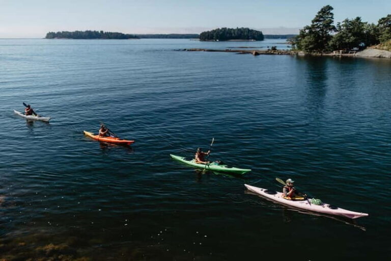 Helsinki: Private Kayak Tour in Eastern Helsinki Archipelago - Final Thoughts: Is This Tour for You?