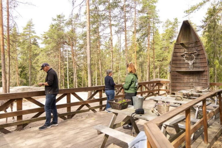 Helsinki: Reindeer Park visit and Buggy Adventure - The Practicalities: Transport, Timing, and Value
