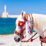 Heraklion Areas:Rethymno,Chania & Lake Kournas Full-Day Tour - Authentic Experiences and Practical Details