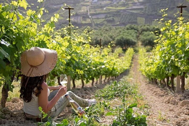 HERAKLION: Wine tasting at Douloufakis Vineyards ARISMARI