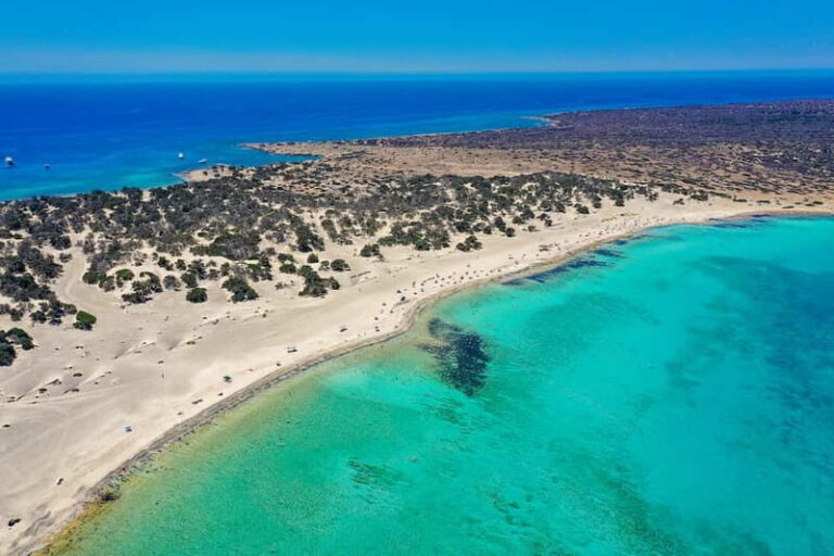 Heraklion:Cruise to Chrissi island natural park with pick up - Why This Tour Stands Out