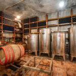 Herceg Novi: Charms of the Town of 6 Empires & Wine Tasting - What to Expect from the Tour