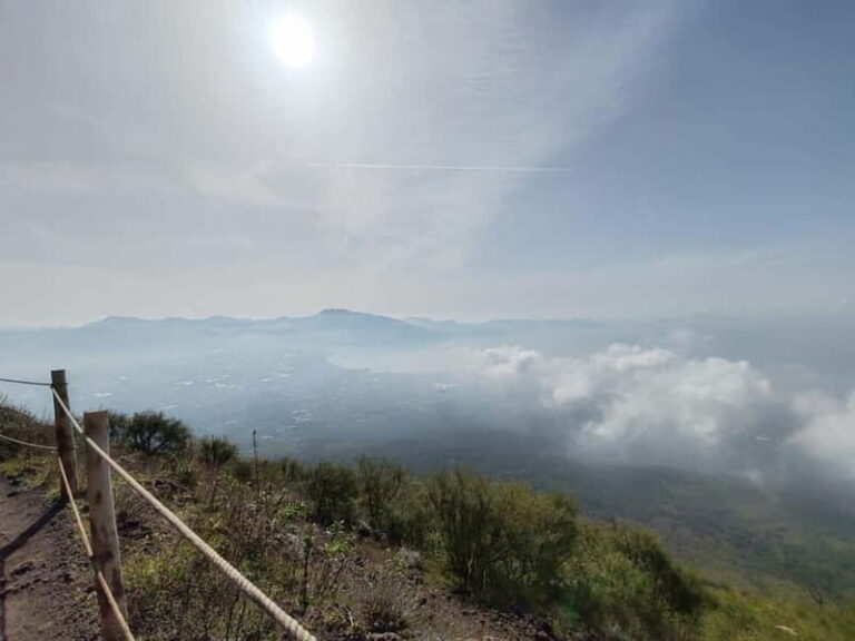 HERCULANEUM AND VESUVIUS: PRESTIGE TOUR FROM NAPLES - Practical Details and Value