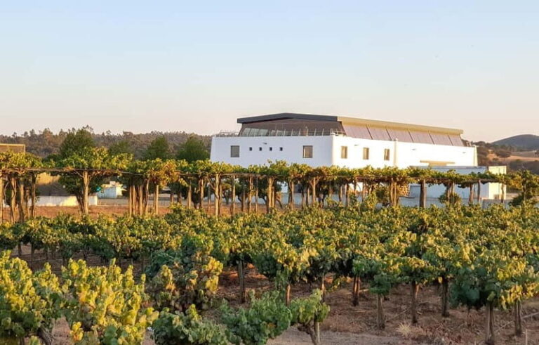 Herdade Canal Caveira - Winery Visit 4 Red's Wines & Tapas - What the Tour Involves