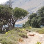 Hersonissos: South Eastern Crete & Sarakinas Gorge Day Tour - The Practicalities