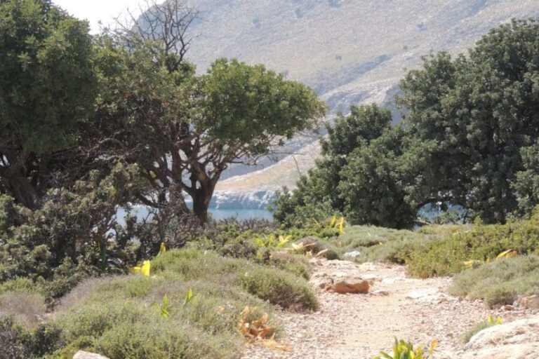 Hersonissos: South Eastern Crete & Sarakinas Gorge Day Tour - The Practicalities