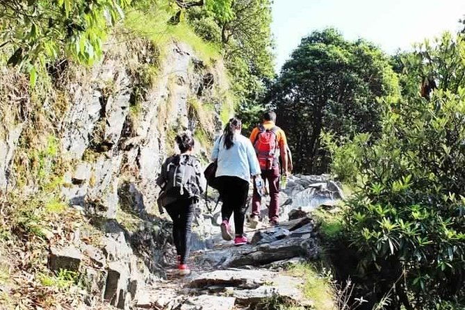 Hiking Day Tour to Triund from Dharamshala - Key Points