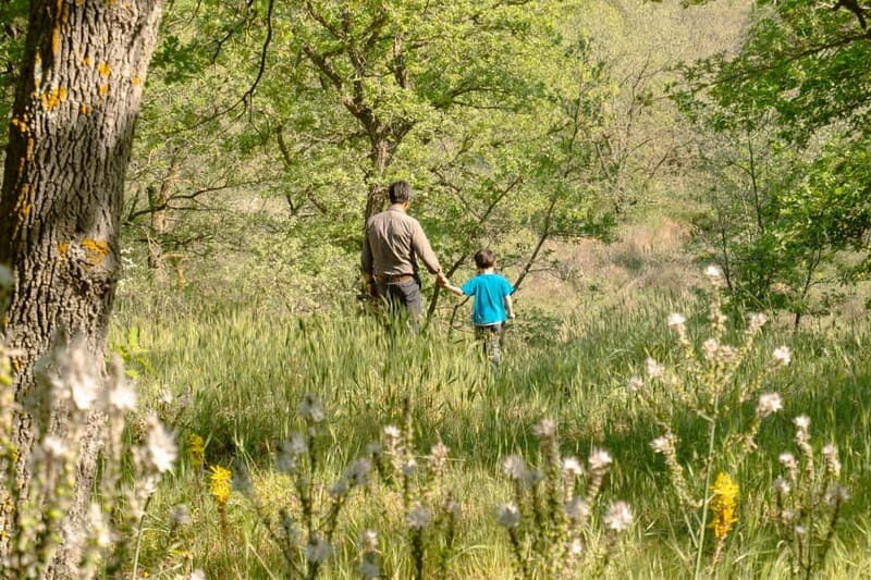 Hiking in the Alta Murgia National Park: the forest and the ancient farmhouse - Discovering Rural Architecture and the "Jazzo"