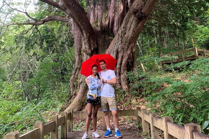 Hiking tour around Takayama city (About 3 hours) - An Honest Look at the Takayama Hiking Tour