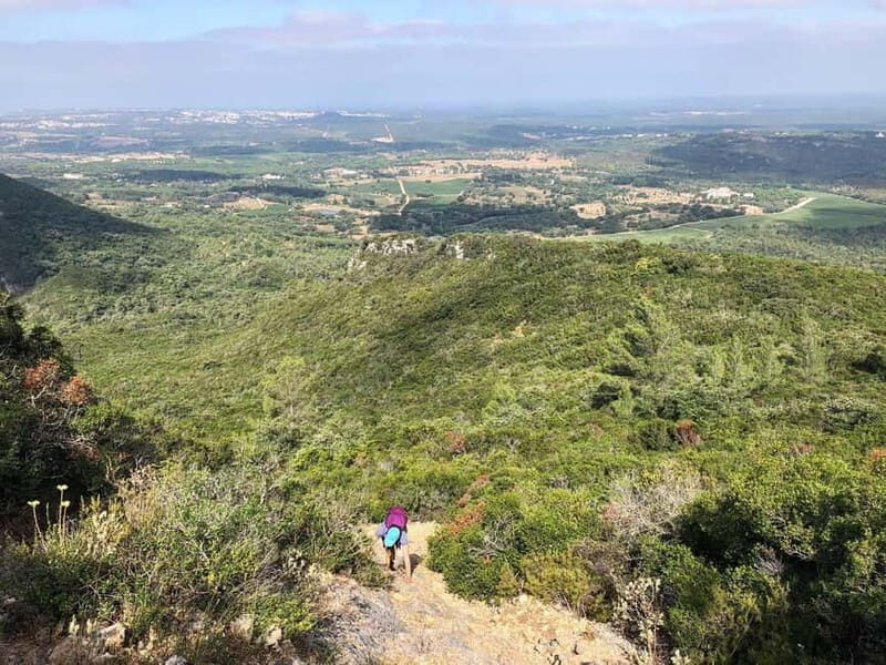 Hiking Tour to Top of Arrabida Mountain - The Value of This Experience