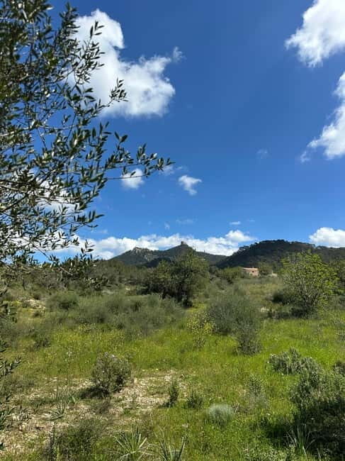 Hiking tour with a dream view of the former monastery of Sant Salvador, 3-4 hours. - What to Expect Along the Route
