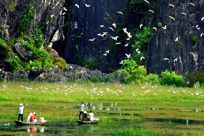 Hoa Lu and Tam Coc - Ninh Binh Day Tour - Exploring the Itinerary: What to Expect