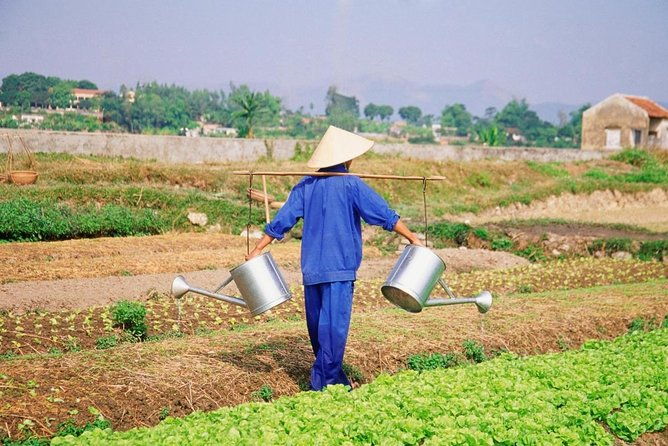 HOI AN Biking Vegetable Village, Basket Boat, Coconut Forest - Exploring Hoi An’s Countryside on Two Wheels: A Taste of Authentic Vietnam