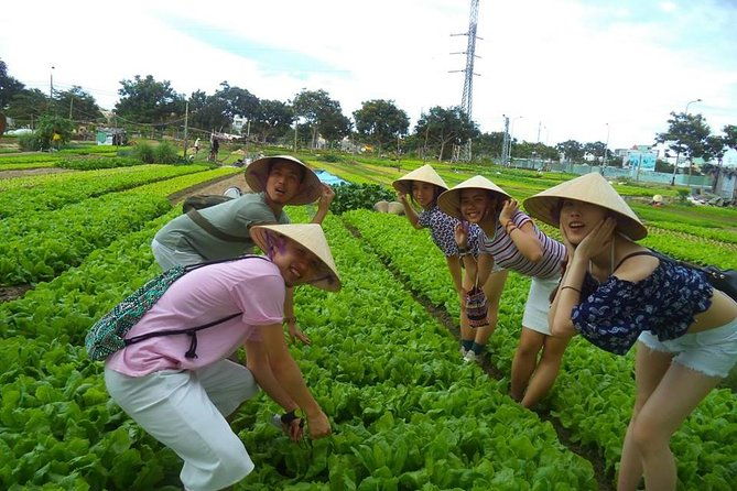 Hoi An Countryside - Buffalo Riding - Basket Boat Rowing - The Itinerary: A Day in the Vietnamese Countryside