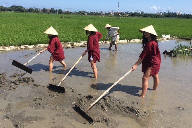 Hoi An Rice Farm Tour and Buffalo Riding with Local Home Meal - Exploring the Hoi An Rice Farm Tour and Buffalo Riding Experience