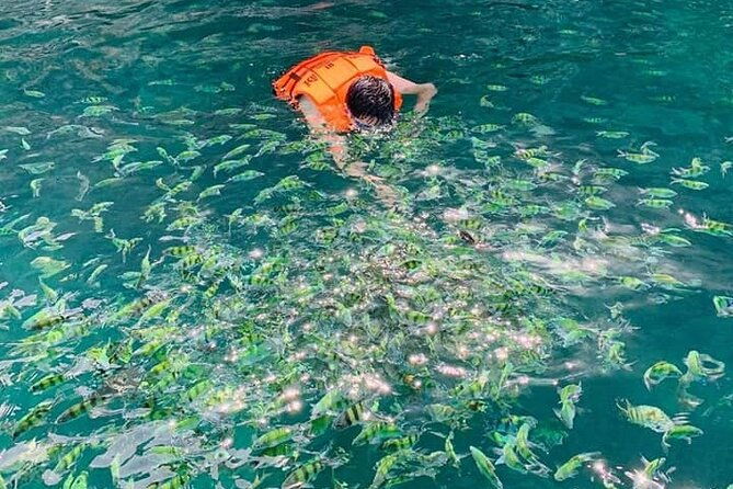 Hong island snorkeling tour from Koh Yao Noi & Koh Yao Yai - What to Expect on the Hong Island Snorkeling Tour