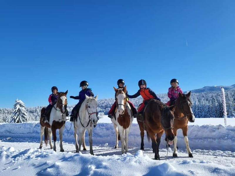 Horse Riding Day Trip in the Rila Mountain - The Itinerary Breakdown