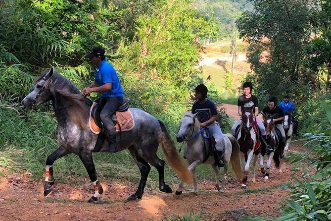 Horseback Riding 1 hour trail - Introduction