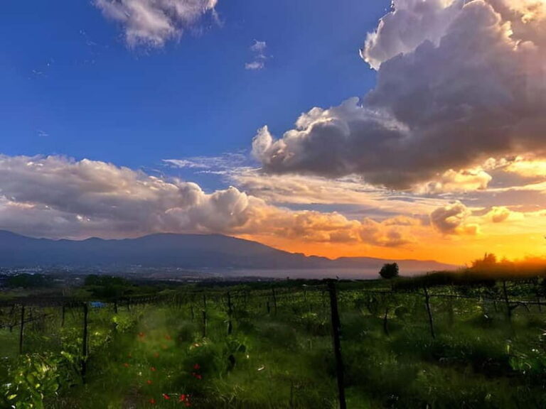 Horseback Riding on Mt.Vesuvius with Wine Tasting and Dinner - Why You Should Consider This Tour