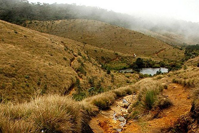 Horton Plains-World's End Tour and Tea Factory Tour From Nuwaraeliya - Exploring the Horton Plains-World’s End and Tea Factory Tour From Nuwara Eliya