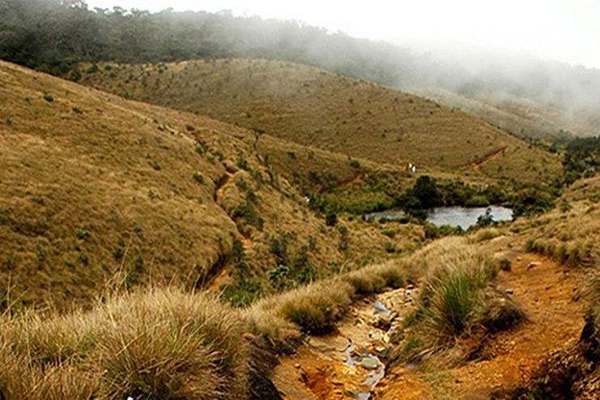 Horton Plains-World's End Tour From Nuwaraeliya - Exploring Horton Plains and World’s End from Nuwara Eliya: A Complete Guide
