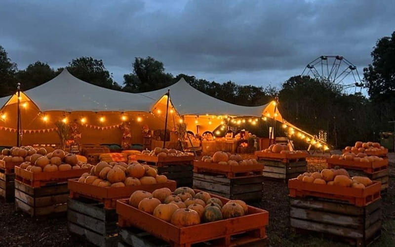 Hounslow: Pumpkin Patch Plus Entry to Hobbledown Heath - Practical Details: How the Day Unfolds