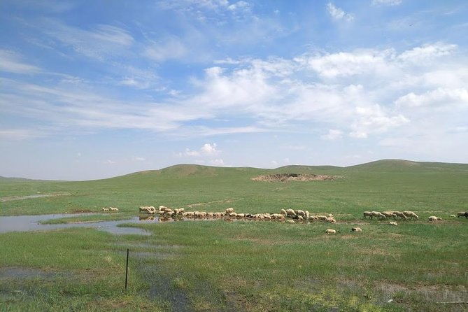 Huhhot 4D3N Inner Mongolia Grassland and desert nature tours - What to Expect from the Hohhot Inner Mongolia Tour