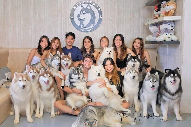 Huskitory Connecting People and Dogs - Discover the Charm of Huskitory Connecting People and Dogs in Melaka