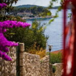 Hvar Walking Tour With Your Local Guide - The Practical Aspects: What You Need to Know