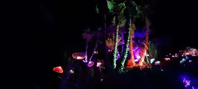 IBIZA: Astro Magic Lights at Bibo Park - Practical Details & Value Considerations