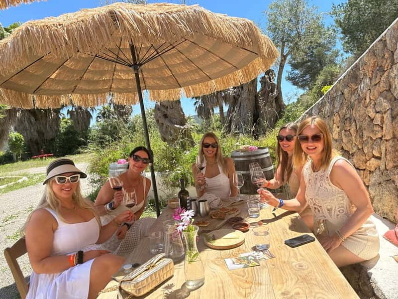 Ibiza Wine Tour: Wine Tasting + Tapas at Winery - The Sum Up: Why This Wine Tour Is a Solid Choice