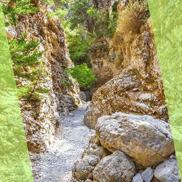 Imbros Gorge : A Hiking Tour with Local Guide - The Imbros Gorge Experience