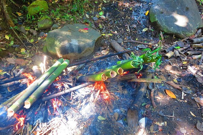 indigenous Forest experience Manila - Key Points