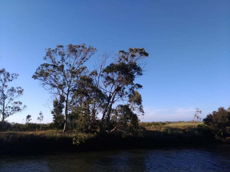 Industry or Nature Boat Tour | Speedboat - What You Can Expect from the Tour