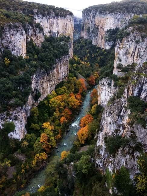 Irati Forest and Ochagavía Excursion - What You’ll Love About This Tour