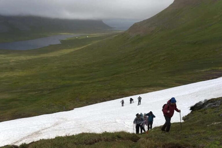 Ísafjörður: Hornstrandir Guided Hike Hesteyri to Aðalvík - Practical Details and Tips