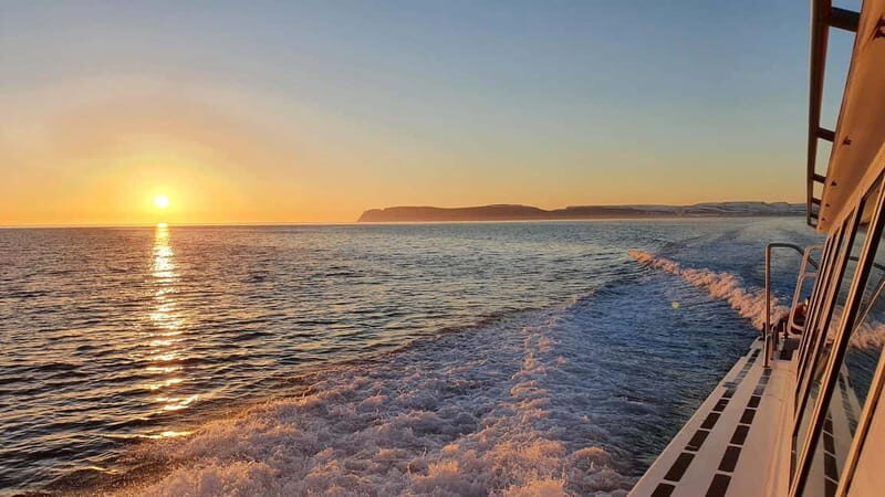 Ísafjörður: Midnight Whale Watching Tour with Hydrophone - What’s Included and What to Bring