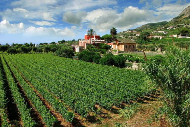 Ischia: Island tour with wine tasting in a typical winery - Are You Suitable for This Tour?
