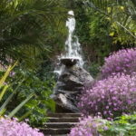 Ischia: La Mortella Gardens Trip with Optional Lunch - The Optional Lunch: A Nice Addition