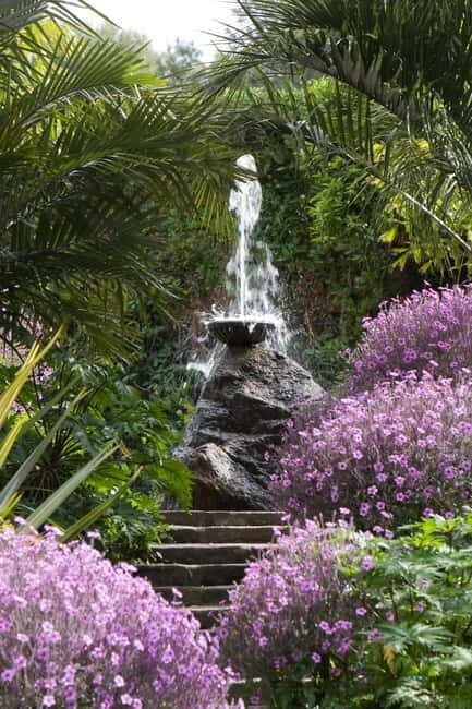 Ischia: La Mortella Gardens Trip with Optional Lunch - The Optional Lunch: A Nice Addition