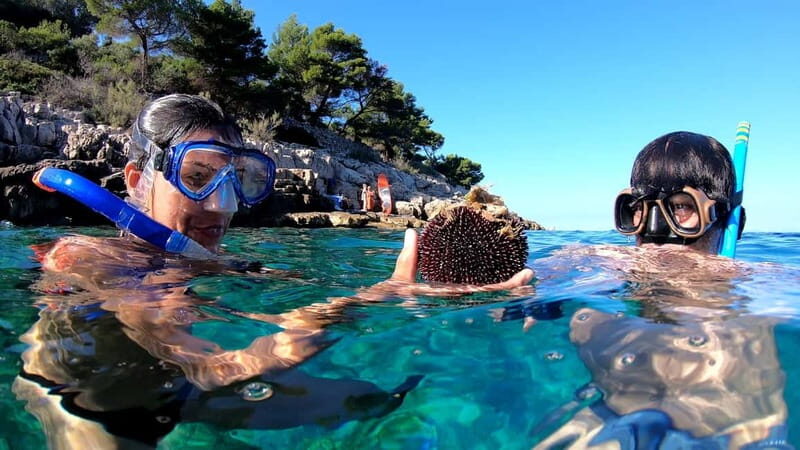 Island Losinj Kayak Tour - Final Thoughts