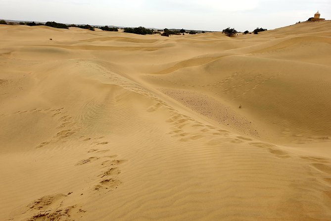 Jaisalmer One Day Sightseeing Tour - Key Points
