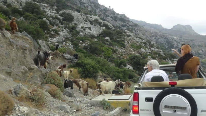 Jeep Driving Tour to Thripti Mountains and typical villages - What to Expect from the Experience