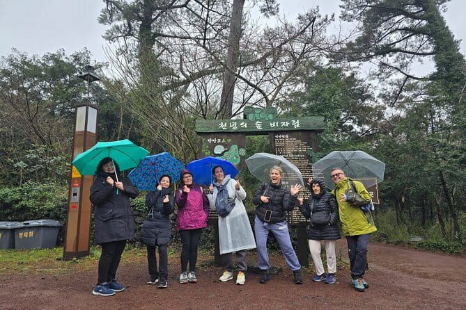 Jeju Private Half-Day Tour for Cruise Customers - Exploring Jeju on a Half-Day Basis