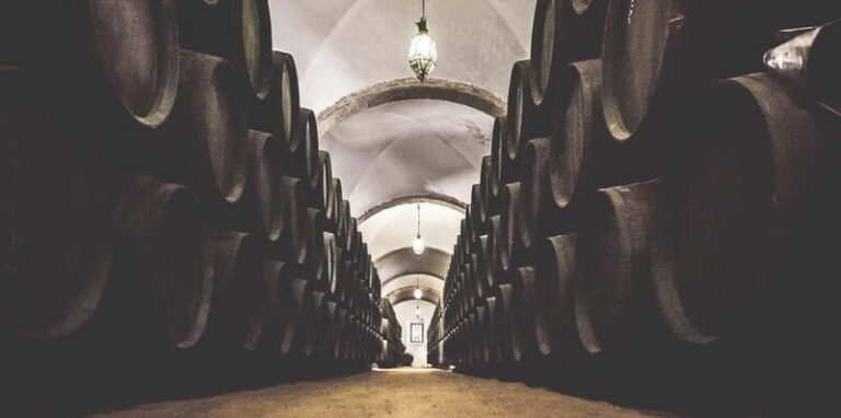 Jerez City Guided Tour and Winery Visit - What to Expect: A Detailed Breakdown