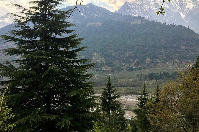 Jogini Waterfall Trek from Manali - Jogini Waterfall Trek from Manali: An In-Depth Review